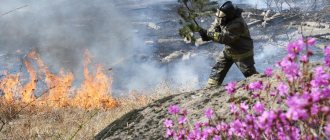 Сотрудник пожарной службы МЧС РФ во время тушения природного пожара в районе поселка Антипиха в пригороде Читы