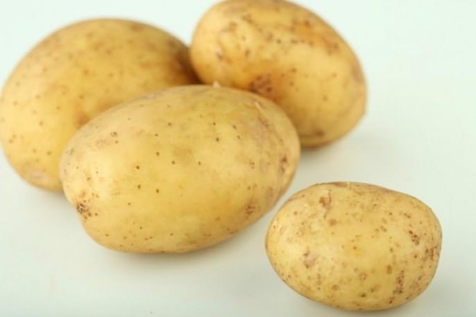 Товарность клубней картофеля «Бентье» составляет до 87 %